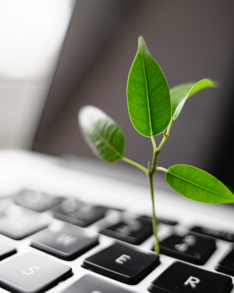 Going digital-first to cut waste